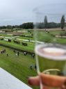 velka_Pardubicka_2023_281029.JPG